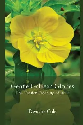 Suaves Glorias Galileas: Las tiernas enseñanzas de Jesús - Gentle Galilean Glories: The Tender Teachings of Jesus