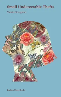 Pequeños robos indetectables - Small Undetectable Thefts