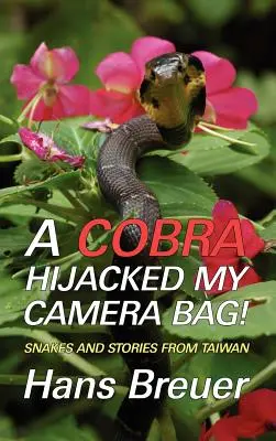 ¡Una cobra secuestró la bolsa de mi cámara! Serpientes e historias de Taiwán - A Cobra Hijacked My Camera Bag! Snakes and Stories from Taiwan