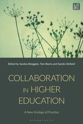 Colaboración en la enseñanza superior - Collaboration in Higher Education