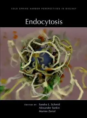 Endocitosis - Endocytosis