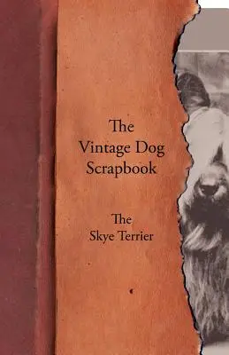 The Vintage Dog Scrapbook - El Skye Terrier - The Vintage Dog Scrapbook - The Skye Terrier