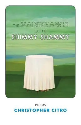 El mantenimiento del ShimmyShammy - The Maintenance of the ShimmyShammy