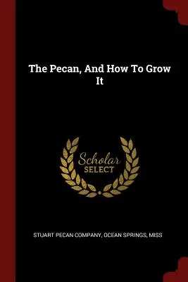 La nuez y cómo cultivarla - The Pecan, And How To Grow It