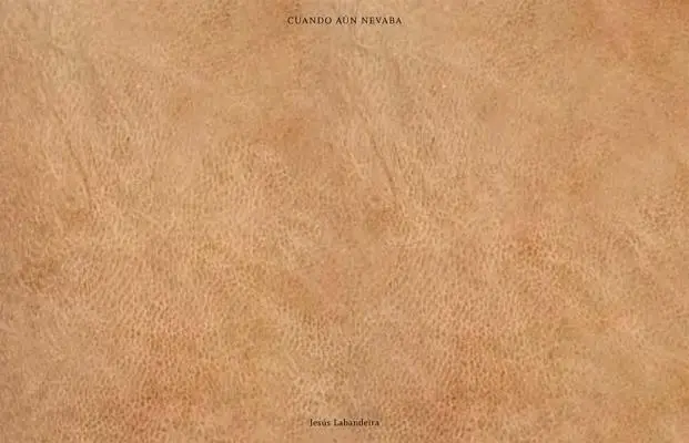 Jess Labandeira: Cuando An Nevaba: When It Still Used to Snow