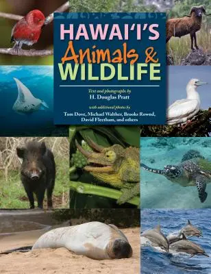 Animales y fauna de Hawai - Hawaii's Animals and Wildlife