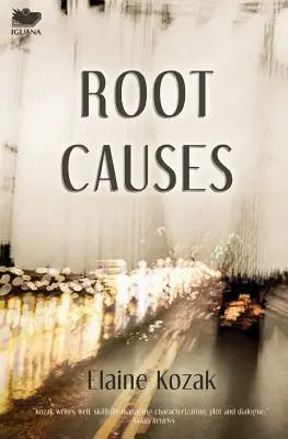 Causas profundas - Root Causes