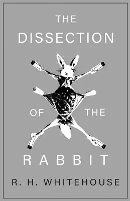 La disección del conejo - The Dissection of the Rabbit