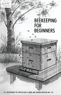 Apicultura para principiantes - Beekeeping for Beginners