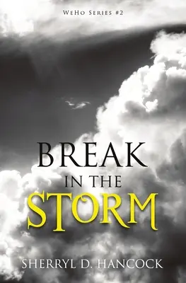 Receso en la tormenta - Break in the Storm