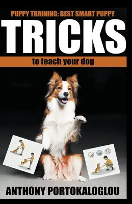 Trucos para perros: Los mejores trucos inteligentes para enseñar a su perro en un tiempo récord - Dog Tricks: Best Smart Dog Tricks to Teach Your Dog in Record Time