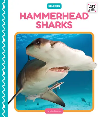 Tiburón Martillo - Hammerhead Sharks