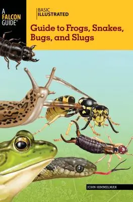 Guía básica ilustrada de ranas, serpientes, bichos y babosas - Basic Illustrated Guide to Frogs, Snakes, Bugs, and Slugs