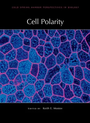 Polaridad celular - Cell Polarity