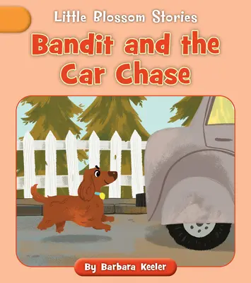 Bandido y la persecución en coche - Bandit and the Car Chase