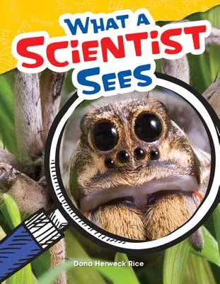 Lo que ve un científico - What a Scientist Sees