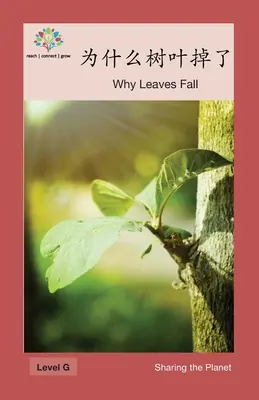 为什么树叶掉了: Por qué caen las hojas - 为什么树叶掉了: Why Leaves Fall