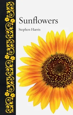 Girasoles - Sunflowers