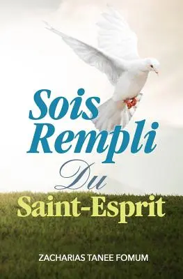 Sois Rempli du Saint-Esprit