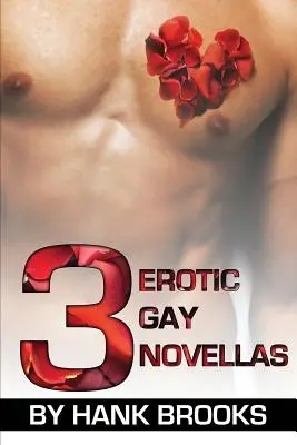 3 novelas eróticas gay - 3 Erotic Gay Novellas