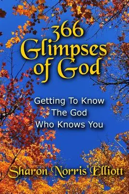 366 Destellos de Dios: Cómo conocer al Dios que te conoce - 366 Glimpses Of God: Getting To Know The God Who Knows You