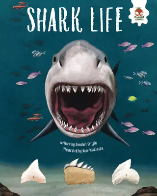 La vida de los tiburones - Shark Life