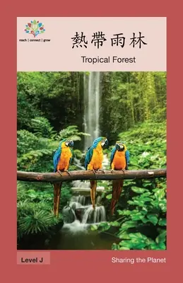 熱帶雨林: Bosque tropical - 熱帶雨林: Tropical Forest