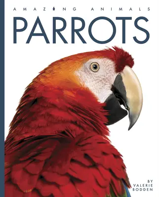 Loros - Parrots