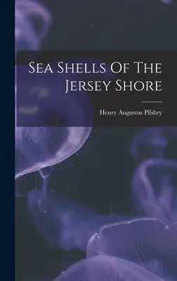 Conchas marinas de la costa de Jersey - Sea Shells Of The Jersey Shore