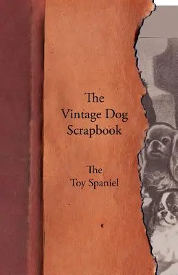 The Vintage Dog Scrapbook - El Toy Spaniel - The Vintage Dog Scrapbook - The Toy Spaniel