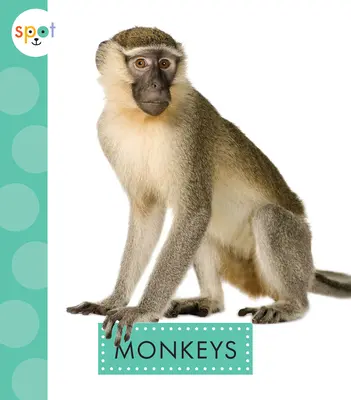 Monos - Monkeys