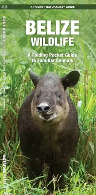 Fauna de Belice: Guía de bolsillo de animales conocidos - Belize Wildlife: A Folding Pocket Guide to Familiar Animals