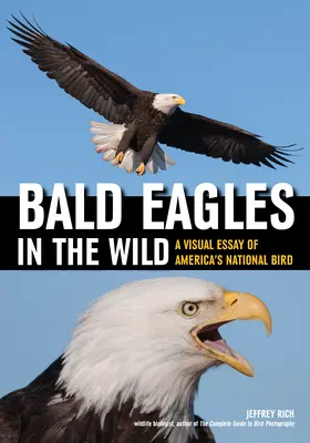 Águilas calvas en libertad: ensayo visual sobre el ave nacional de Estados Unidos - Bald Eagles in the Wild: A Visual Essay of America's National Bird