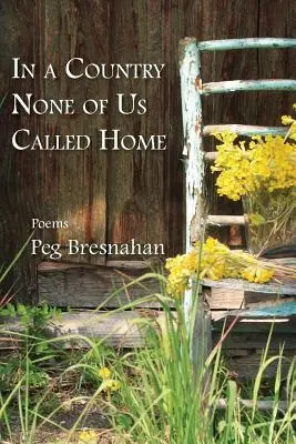 En un país al que ninguno de nosotros llamaba hogar - In a Country None of Us Called Home