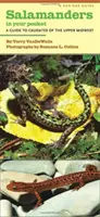 Salamandras en el bolsillo: Guía de los caudados del Medio Oeste Superior - Salamanders in Your Pocket: A Guide to Caudates of the Upper Midwest