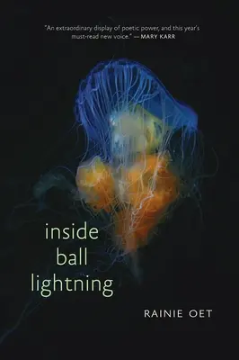 Dentro de Ball Lightning - Inside Ball Lightning