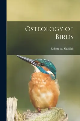 Osteología de las aves - Osteology of Birds