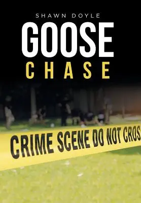 La caza del ganso - Goose Chase
