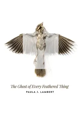 El fantasma de toda cosa emplumada - The Ghost of Every Feathered Thing