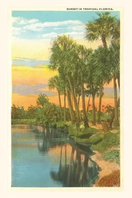 Diario Vintage Puesta de sol, Palmeras, Florida - Vintage Journal Sunset, Palm Trees, Florida