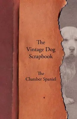 El álbum de recortes de perros de época - El Clumber Spaniel - The Vintage Dog Scrapbook - The Clumber Spaniel
