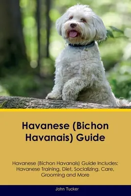 Guía del Bichón Habanero Guía del Bichón Habanero Incluye: Adiestramiento, dieta, socialización, cuidados, peluquería y mucho más. - Havanese (Bichon Havanais) Guide Havanese Guide Includes: Havanese Training, Diet, Socializing, Care, Grooming, and More