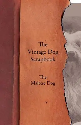 The Vintage Dog Scrapbook - El Maltés - The Vintage Dog Scrapbook - The Maltese