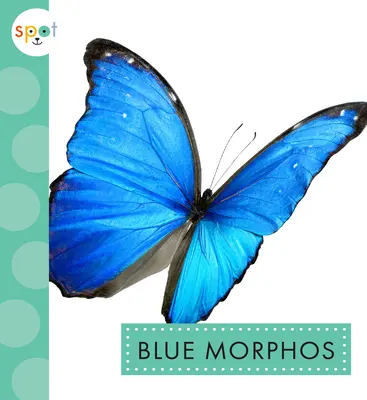 Morfos Azules - Blue Morphos