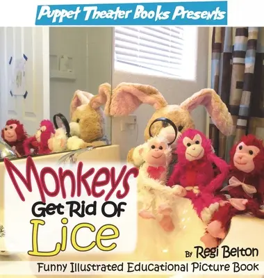 Los monos se deshacen de los piojos - Monkeys Get Rid of Lice