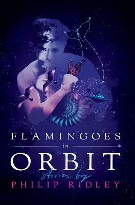 Flamencos en órbita - Flamingoes in Orbit