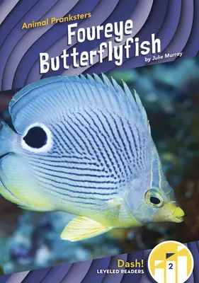 Pez mariposa de cuatro ojos - Foureye Butterflyfish