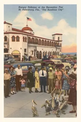 Diario Vintage Pelícanos, San Petersburgo, Florida - Vintage Journal Pelicans, St. Petersburg, Florida