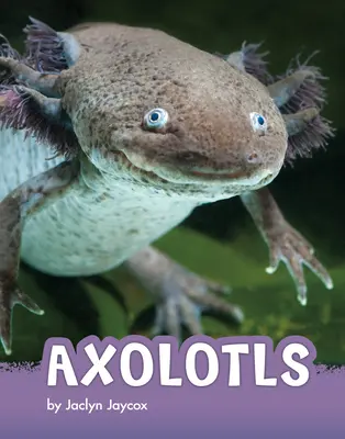 Axolotls