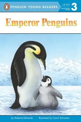 Pingüinos emperador - Emperor Penguins